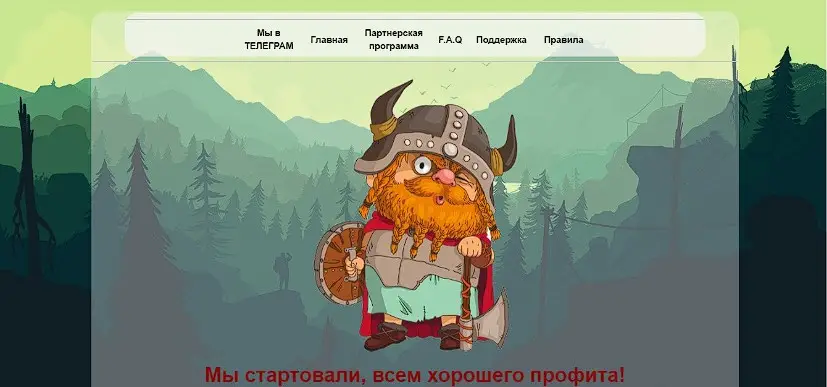 Обзор финансовой пирамиды Vikings24 online