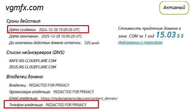 Проверка домена vgmfx.com