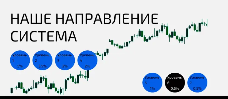 NobleXM инфо о проекте  обзор на NobleXM