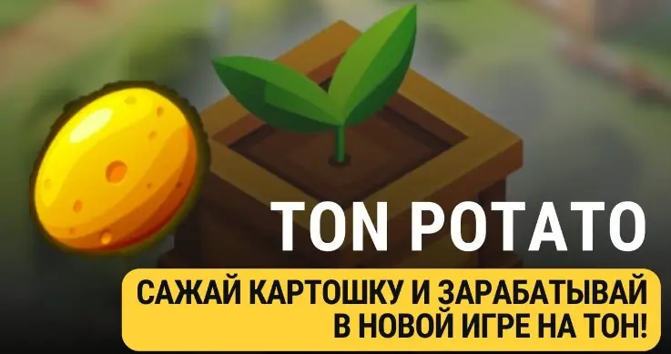 Данные о площадке Ton Potato