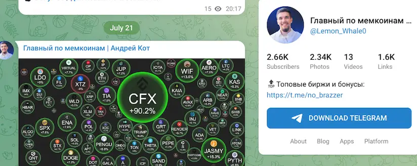 проверка Главный по мемкоинам Главный по мемкоинам обзор