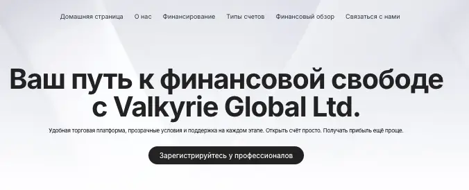 Valkyrie Global Ltd инфо о сайте обзор на Valkyrie Global Ltd