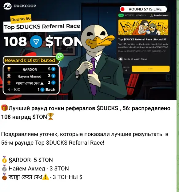 обзор на DUCKS