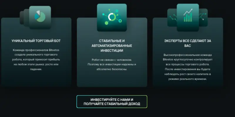 обзор на Bitvetos