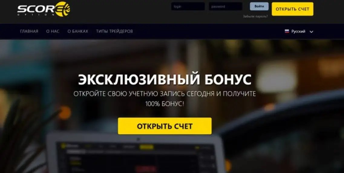 Основная информация о ScoreOption