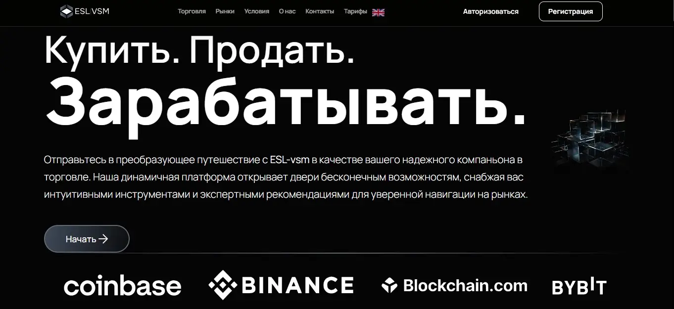 Основная информация  о ESL VSM