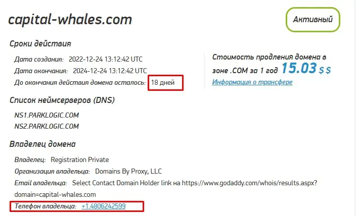 Проверка домена capital-whales.com Проверка домена capital-whales.com