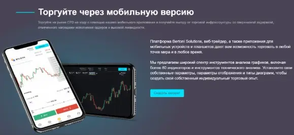 Основная информация о Bertoni Solutions
