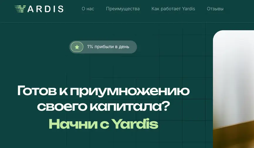 обзор Yardis