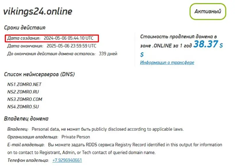 Проверка домена vikings24.online