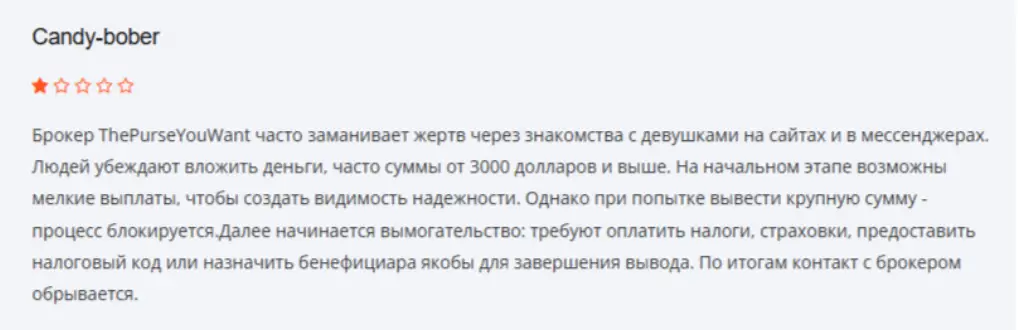 ThePurseYouWant отзыв  отзыв клиента ThePurseYouWant