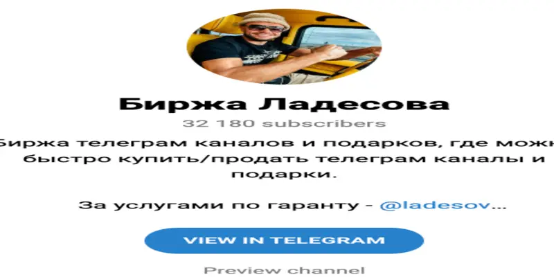 Биржа Ладесова инфо о проекте обзор на Биржа Ладесова