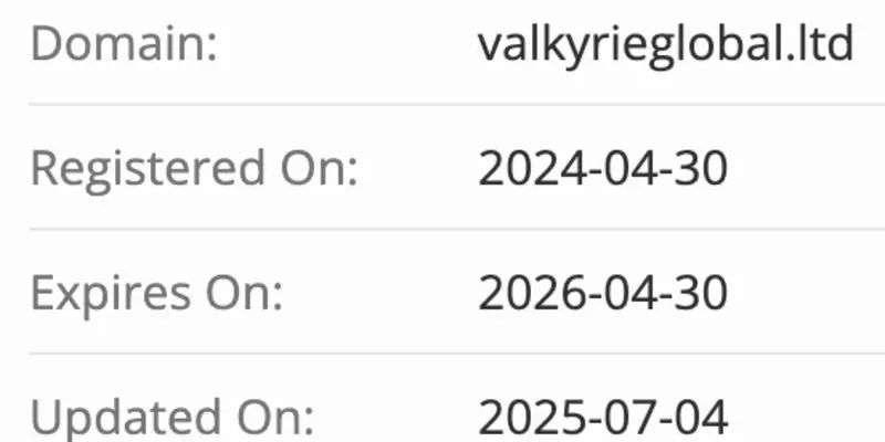 Valkyrie Global Ltd домен домен Valkyrie Global Ltd