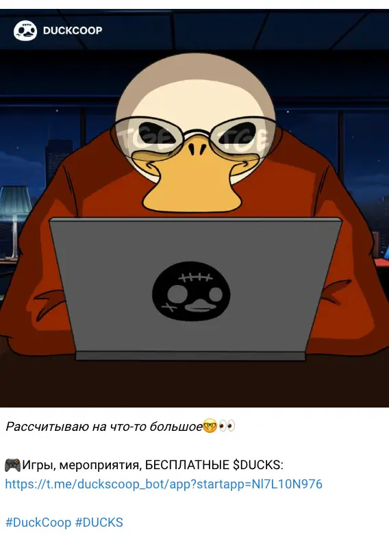 инфо о проекте DUCKS