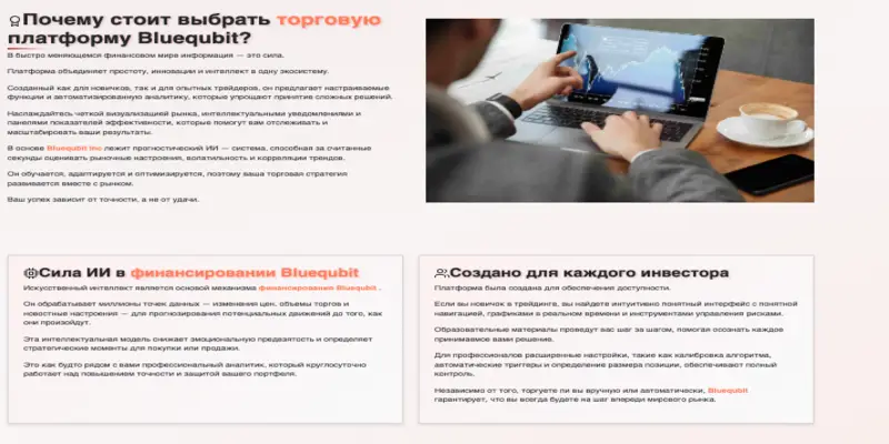 информация о Bluequbit Trading