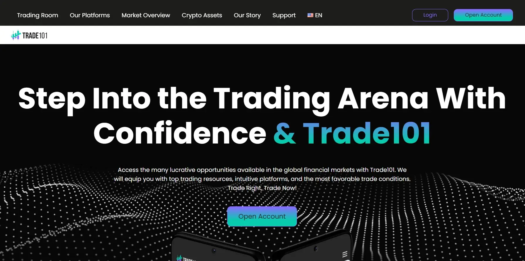 Обзор брокера Trade101