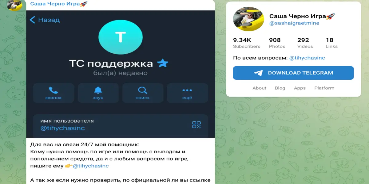 информация о Саша Черно Игра