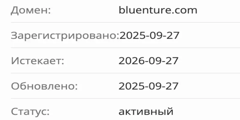 домен Bluenture Investment Group