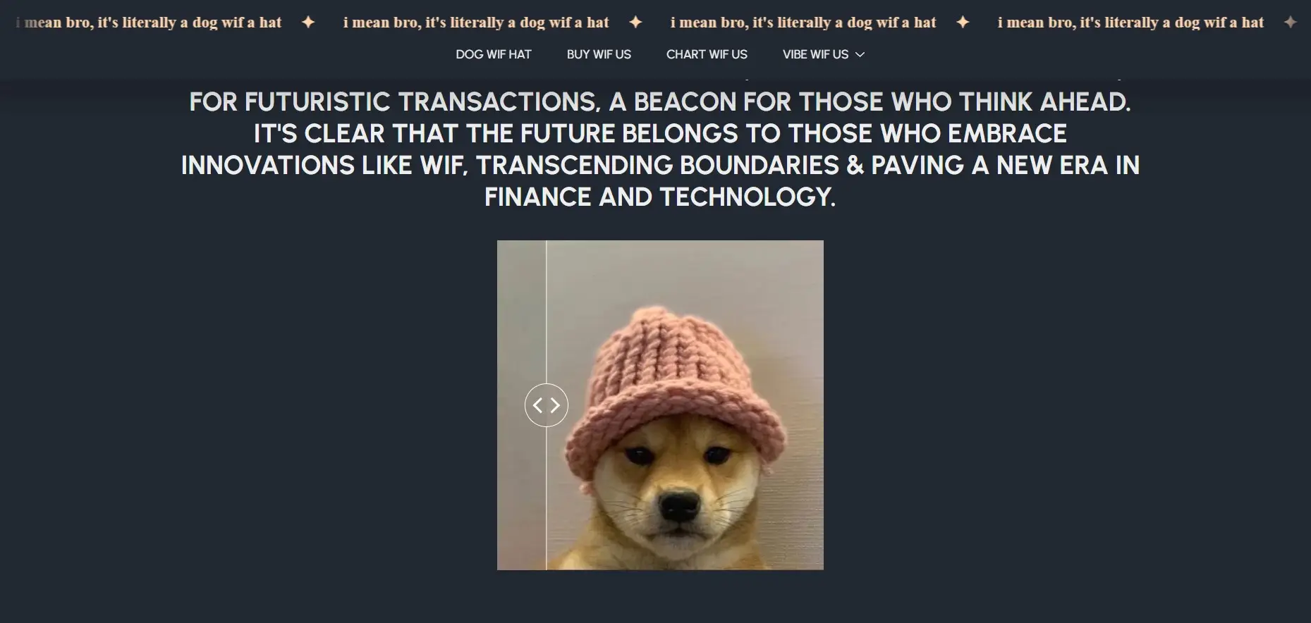 Обзор криптосервиса Dogwifhat Обзор криптосервиса Dogwifhat