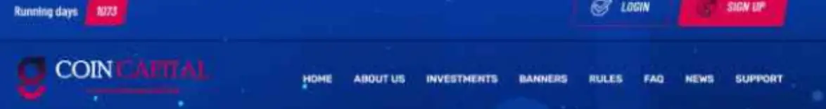 обзор на Coincapital