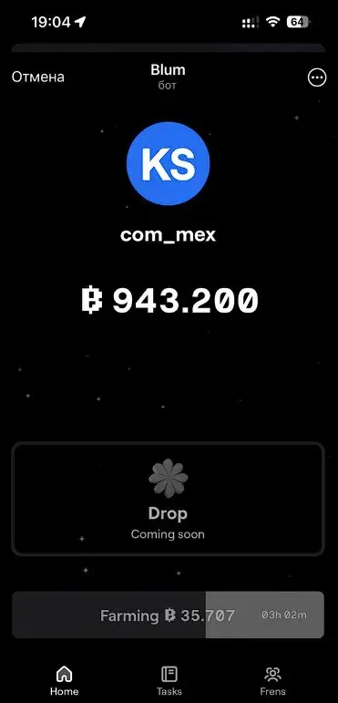 Обзор приложения BLUM Обзор приложения BLUM