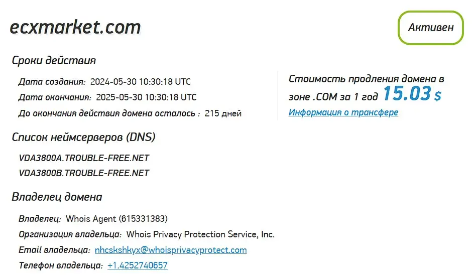 Проверка доменного имени ecxmarket.com