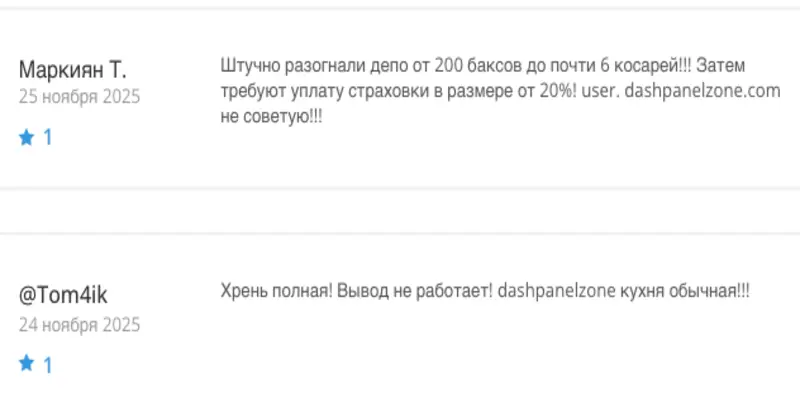 Dashpanel Zone отзывы клиента отзывы о Dashpanel Zone