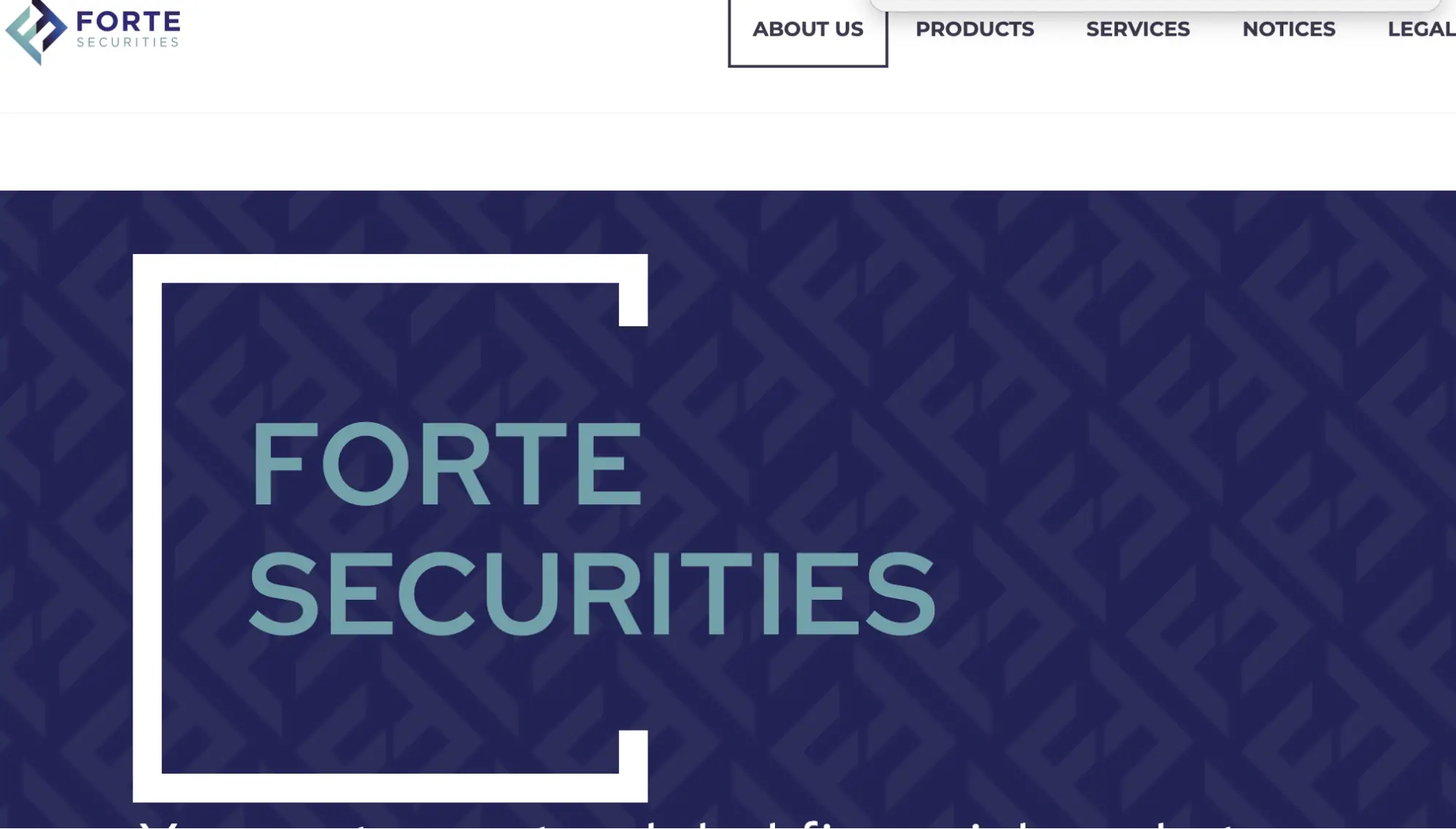 обзор Forte Securities Limited
