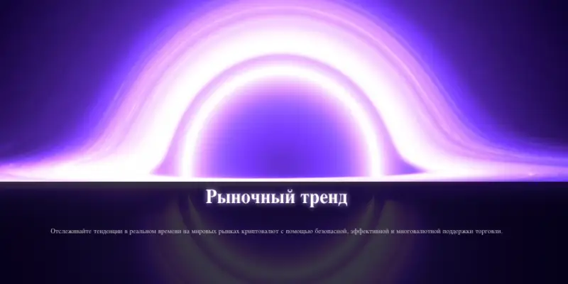 информация о бирже Vortex Exchange