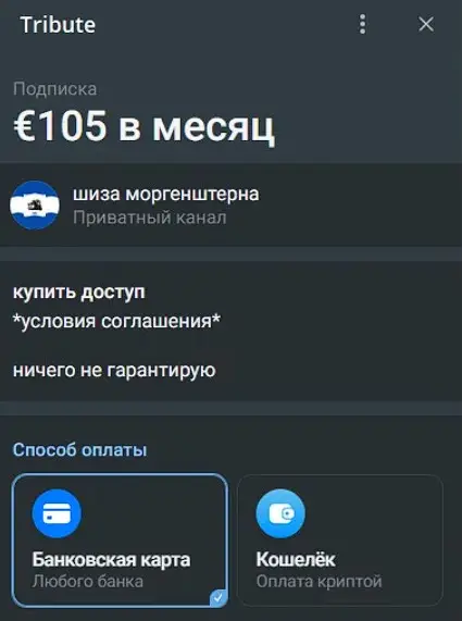 Стоимость подписки на канал Шиза Моргенштерна Стоимость подписки на канал Шиза Моргенштерна