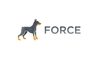 Обманули на Force? Схемы обмана и способы возврата капитала