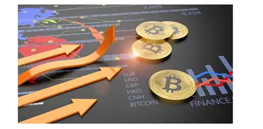 Какую криптовалюту купить в 2024 году