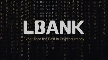 Обманули на LBank – как действовать, чтобы вернуть утраченное