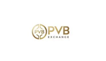 Обманули на PVB Exchange – способы развода