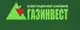 Газинвест (gasinv.ru) 