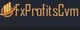 Fx Profits 