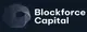 BlockForceCapital (blockforcegroup.com) 